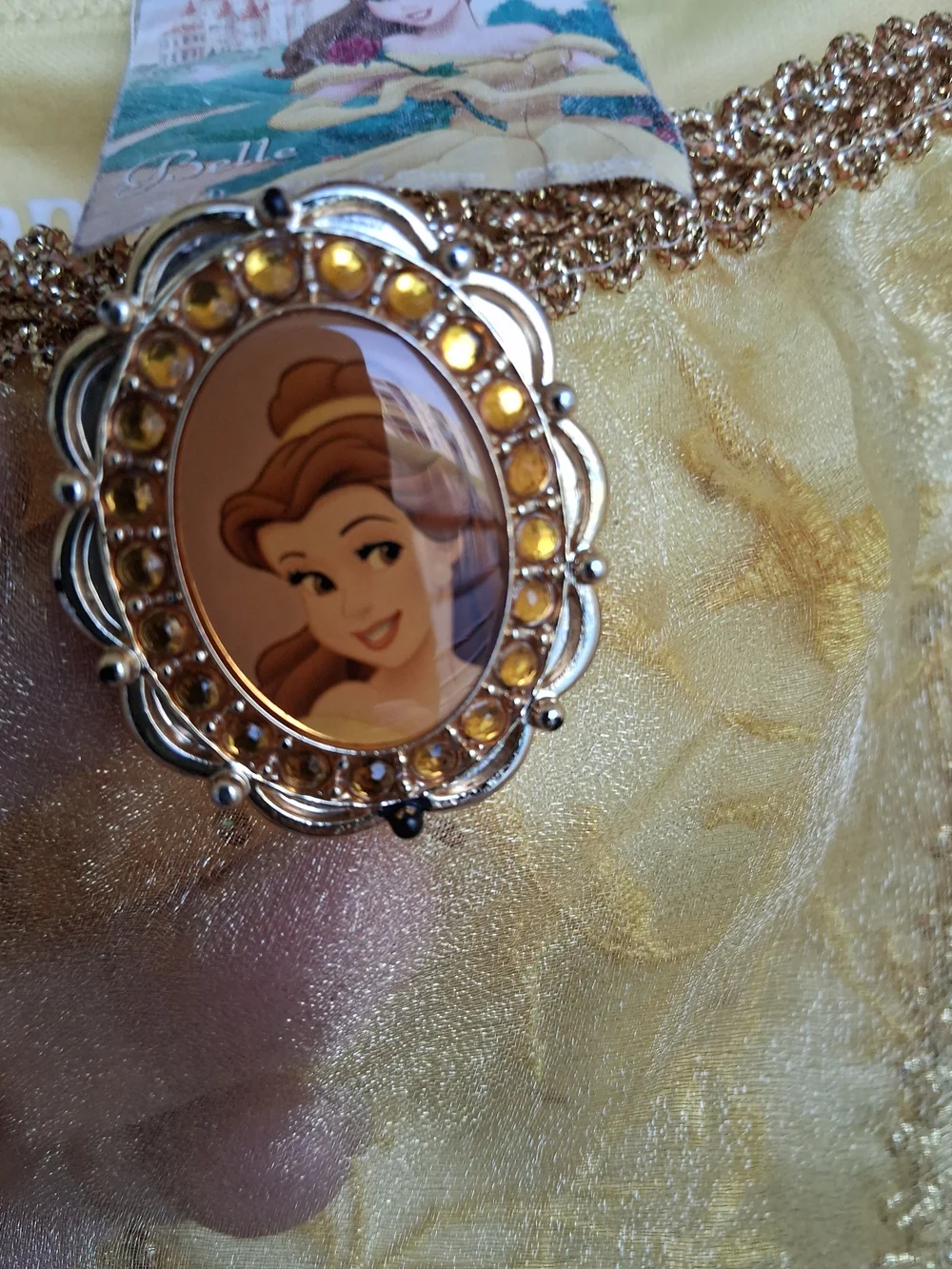 Disney Gold  Belle  Princess Dress Costume